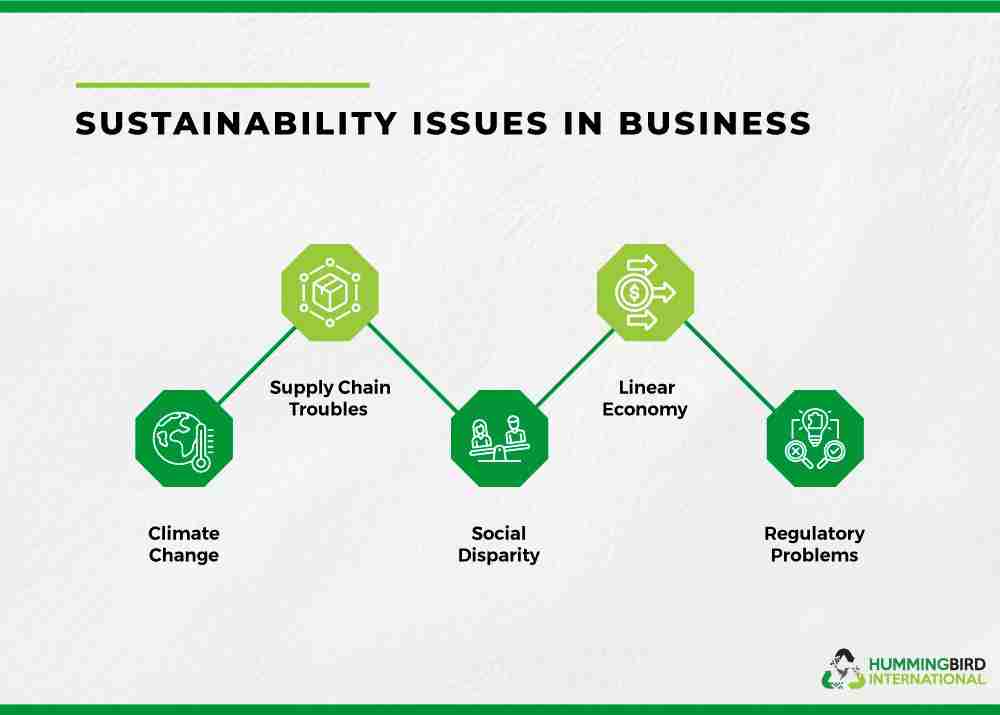 Building a Future: The 2 Ton Rice Mill Plant Project Unveiled 2 Sustainability Practices: Environmental Impact and Economic Benefits