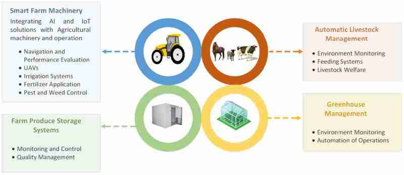 Revolutionizing Grain Production: The Rise of Auto Rice Mills