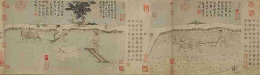 Unlocking Tradition: The Evolving World of Chinese Rice Mills