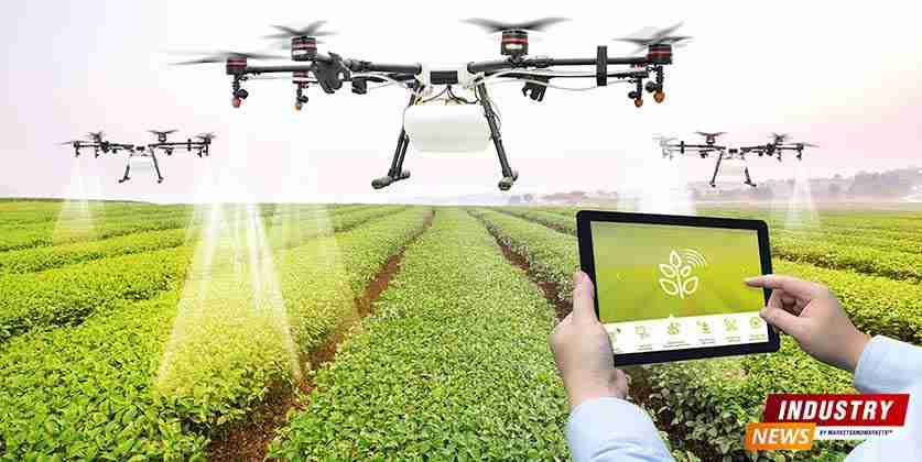 Revolutionizing Agriculture: The Power of Mini Rice Mills