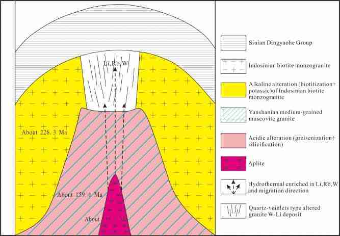 Transforming Rice: Inside the Innovations of Paddy Processing