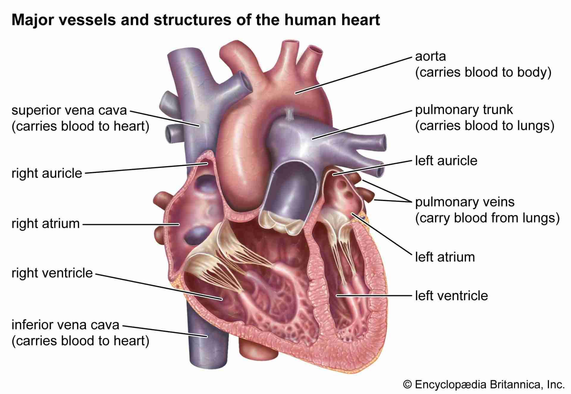 Transforming Paddy: Inside the Heart of Rice Processing