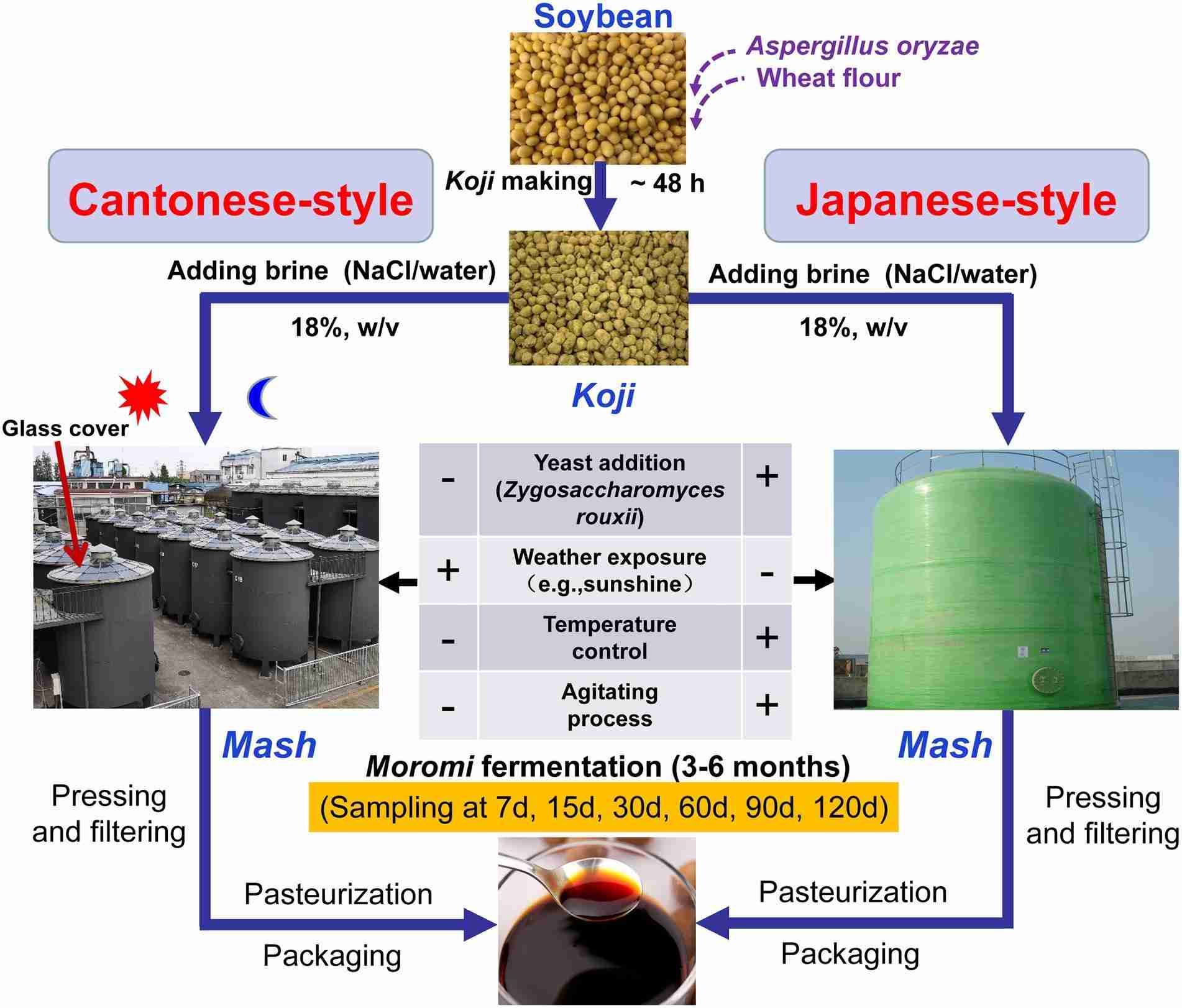 Exploring the Efficiency of the 5-Ton Rice Mill: A Guide 1 Understanding the Mechanisms Behind the 5-Ton Rice Mill Efficiency