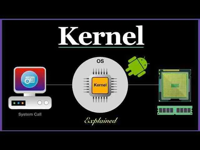 Understanding⁢ the Kernel: Anatomy and Varieties of‍ Maize