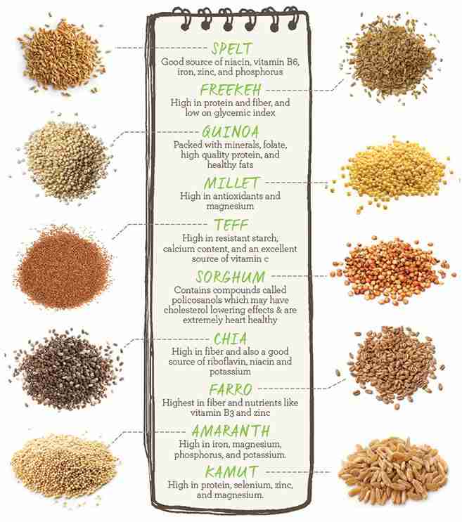 Reviving Grains: Exploring the Rice Mill Plant Revolution 1 Unveiling the Potential of Ancient Grains in Modern Agriculture