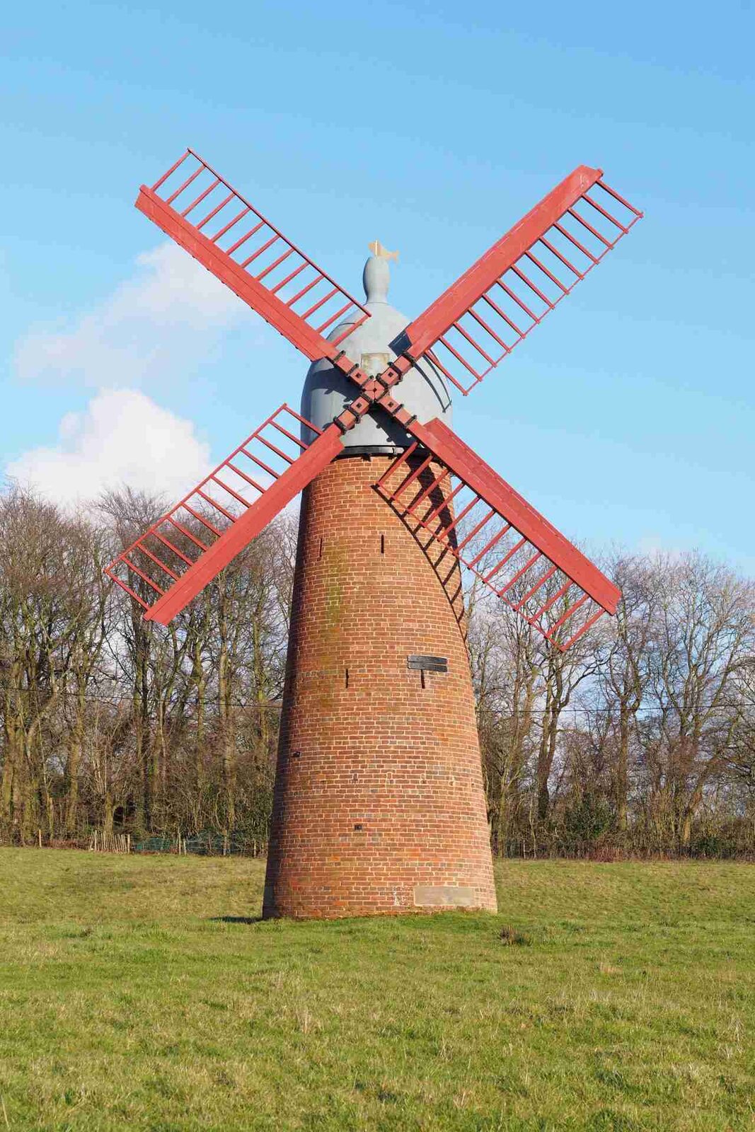 Grinding Goodness: The Art and Science of Cereal Milling 1 Exploring the Mill: Understanding Cereal Composition and Grains