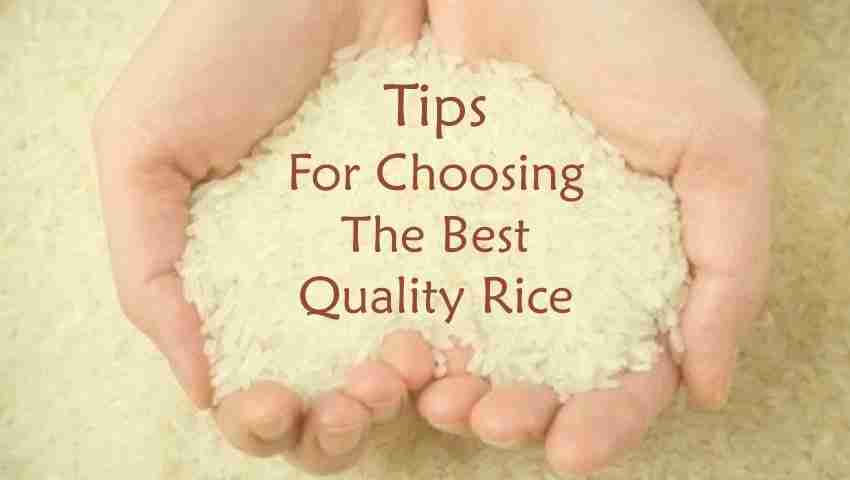 Elevating Rice Quality: The Role of Jet Rice Polishers 2 Elevating Rice Quality: The Role of Jet Rice Polishers