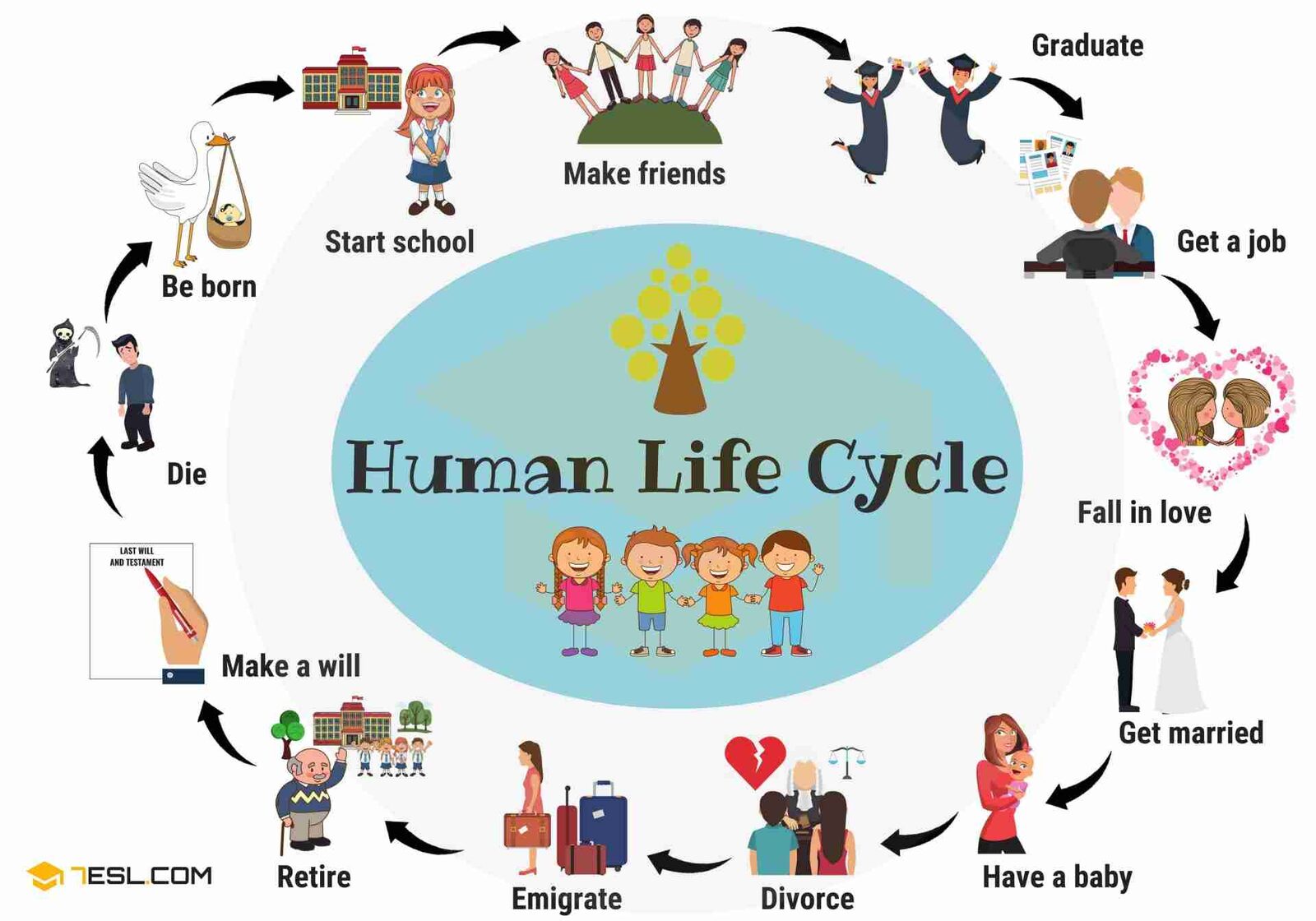 The Life Cycle of Corn:‌ Understanding Agricultural Practices