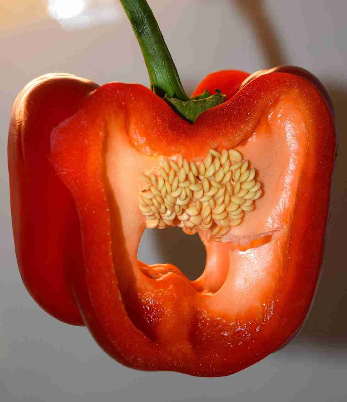 Transforming Grains: The Inner Workings of a Rice Mill Plant