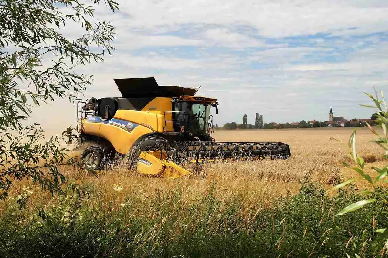 From Field to Table: The Journey of Corn Processing Explained 2 Harvesting Techniques: Best Practices for Maximizing Yields
