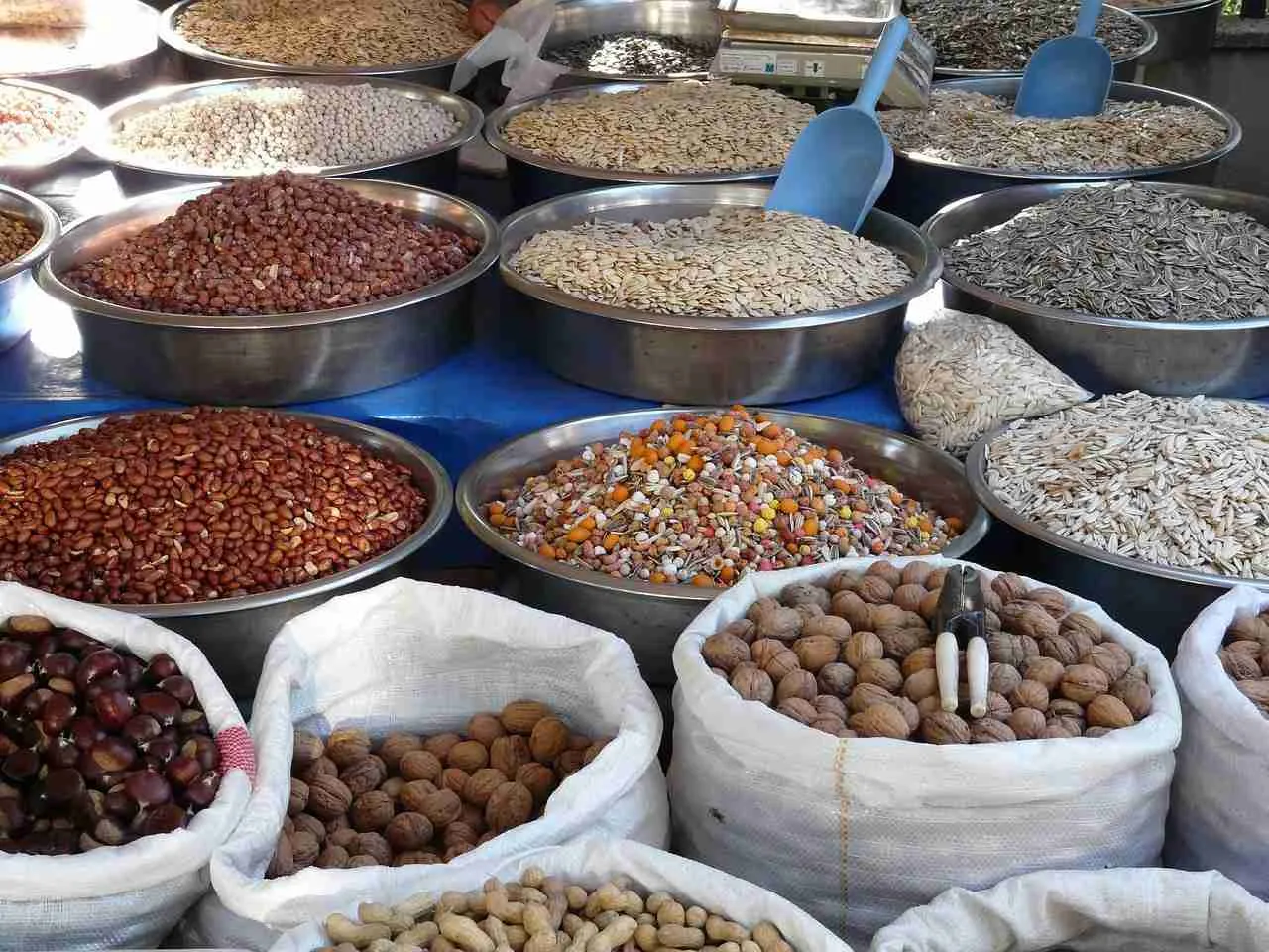 From Field to Table: The Journey of Corn Processing Explained 1 The Seed Selection: Choosing the Right Corn Varieties for Optimal Harvests