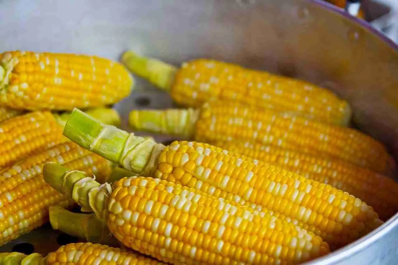 Exploring ‌the Ingredients: Key Components of ⁢Quality Cereals