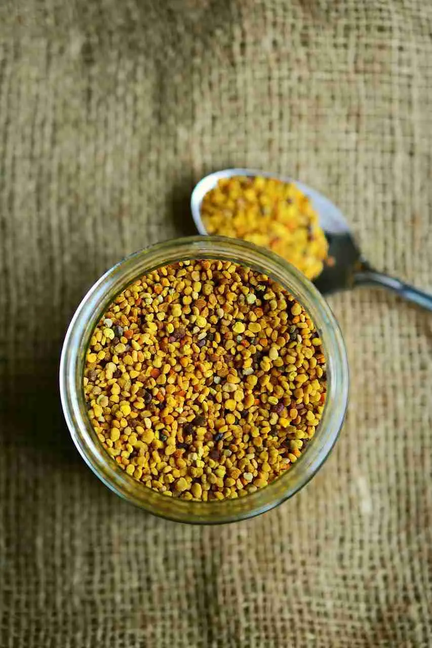 Exploring the ​Nutritional Journey of Grains from Farm to Table