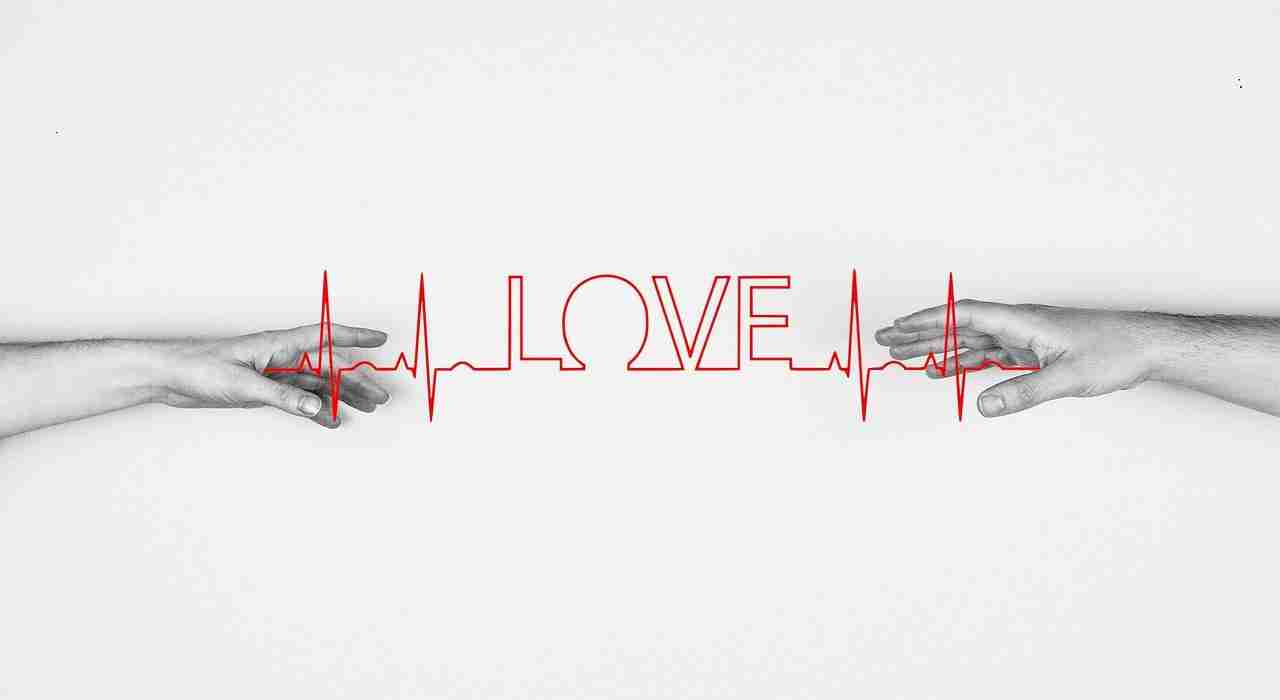 Unlocking Efficiency: The Art of Paddy Processing Units 1 Redefining Workflow Strategies in Paddy Processing Units