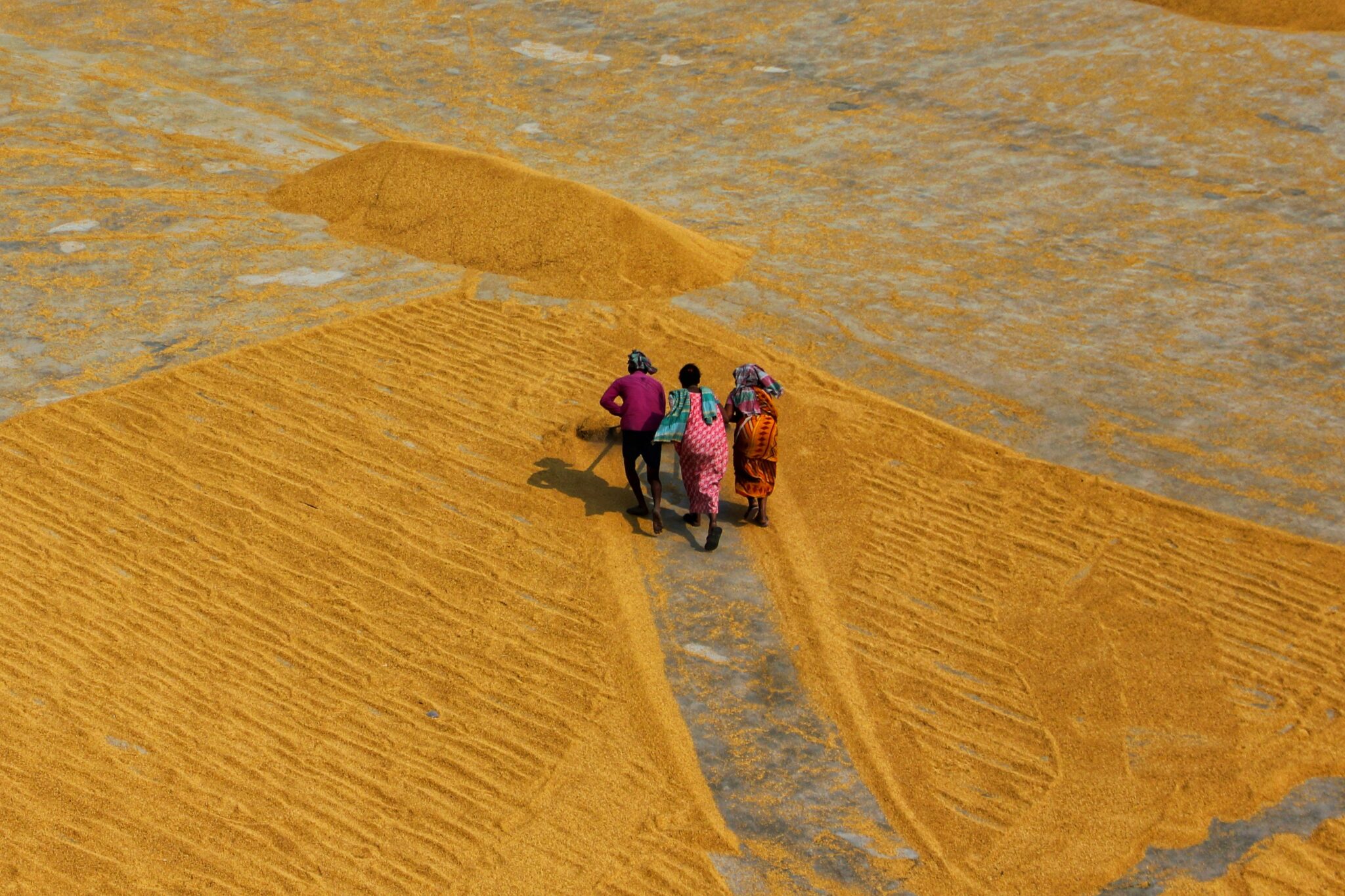Unveiling a 2-Ton Rice Mill Plant: A Sustainable Vision