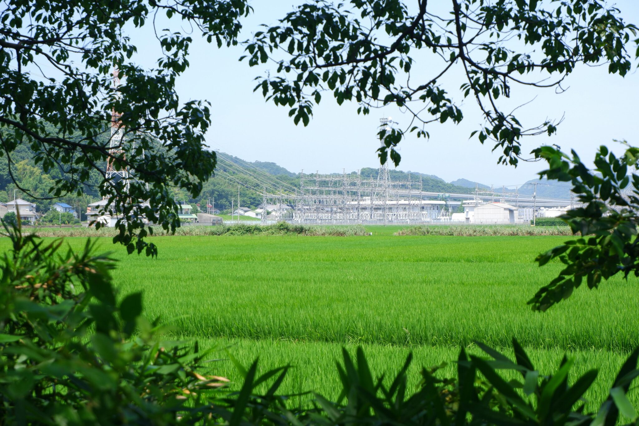 Exploring the Innovations of a 4-Ton Rice Mill Plant
