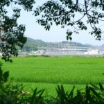 Transforming Grain: The Heart of Rice Processing Plants