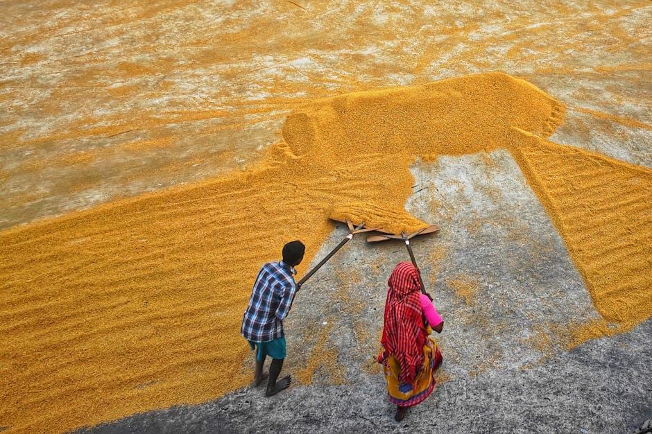 Unlocking Potential: The Essentials of Rice Mill Plants