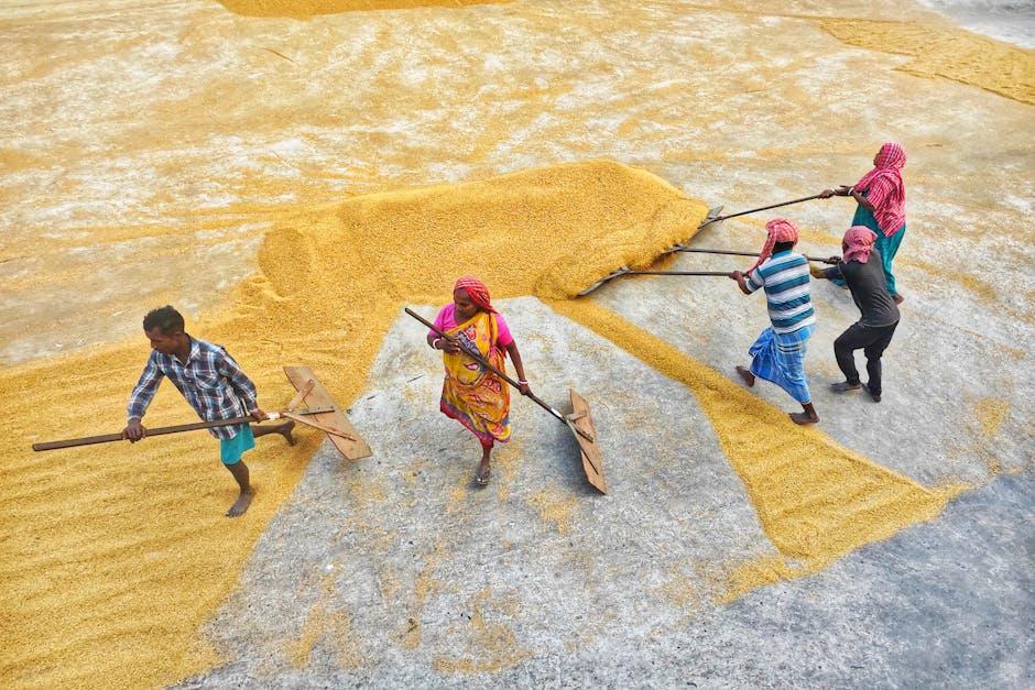 Unveiling the Secrets of Chinese Rice Mills: Tradition Meets Innovation