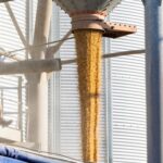 Unlocking Efficient Grain Processing: The Rise of Combined Rice Mills