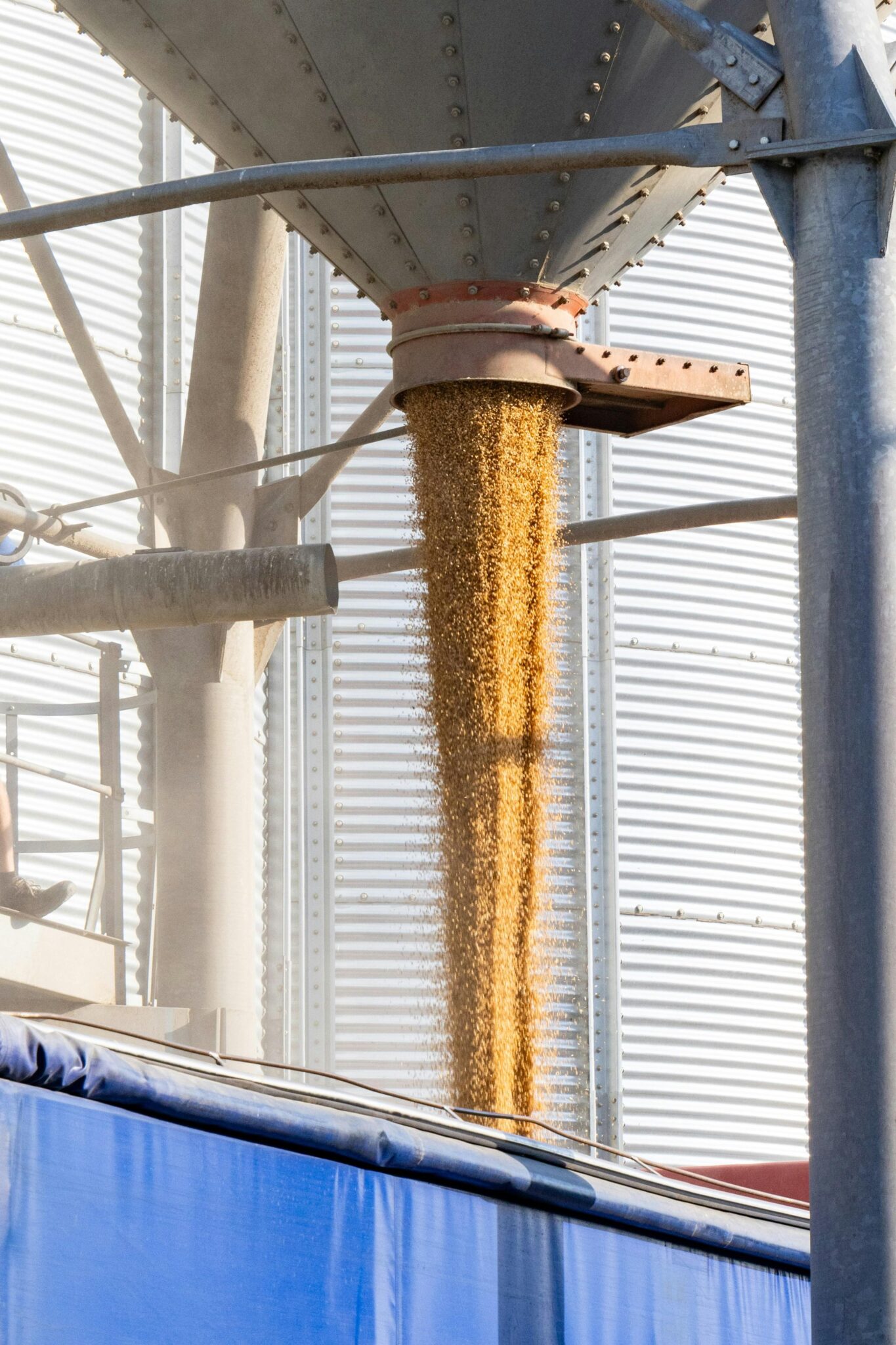 Unlocking Efficient Grain Processing: The Rise of Combined Rice Mills