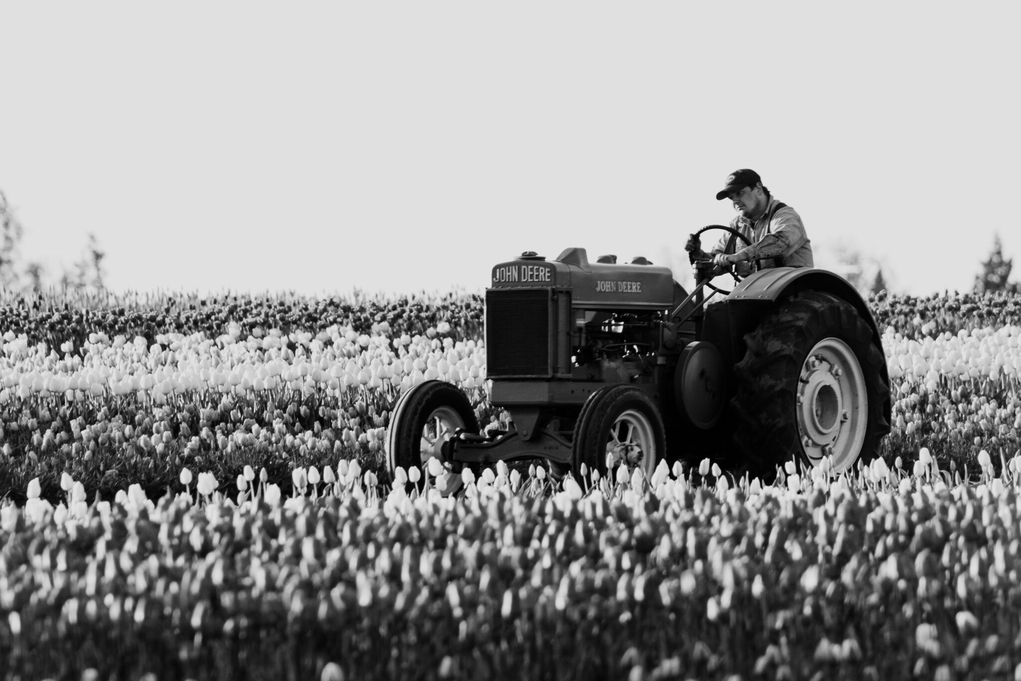 Revolutionizing Agriculture: The Rise of Combined Rice Mill Machines