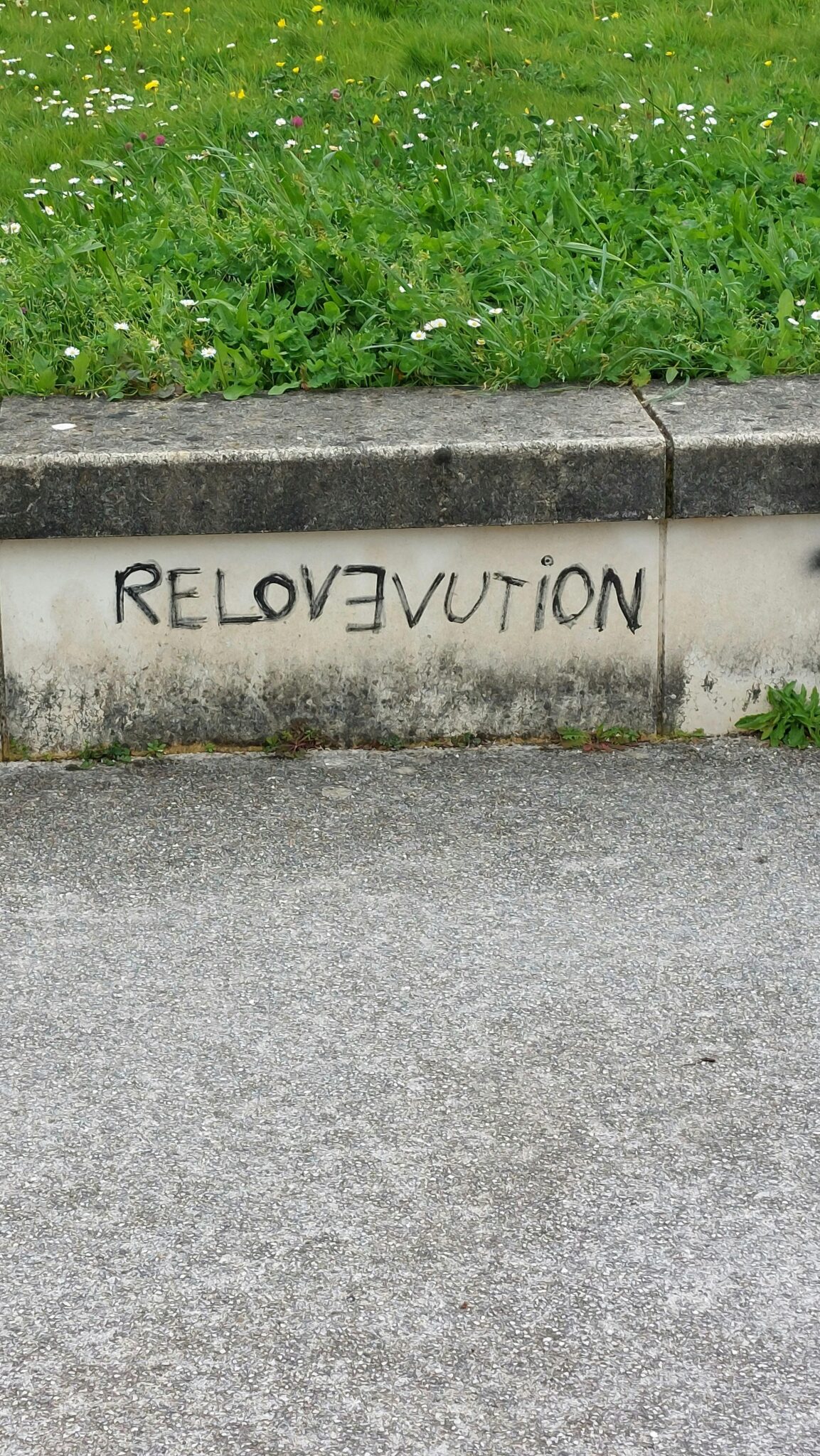 Revolutionizing Grains: The Innovations in Rice Processing Machines