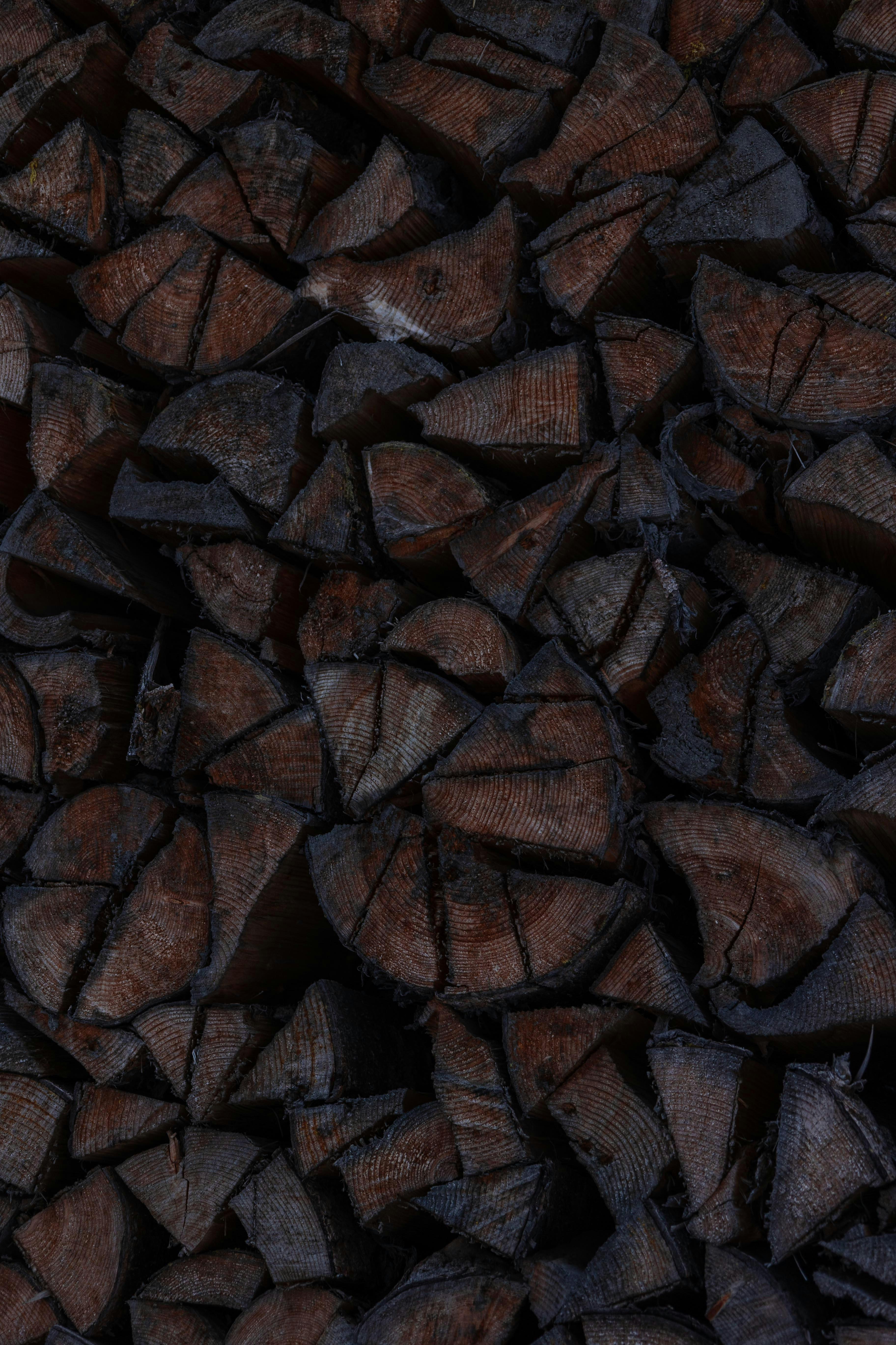 Transforming Grains: The Art of Parboiled Rice Processing 2 Key Techniques for optimal Grain Preparation and Parboiling