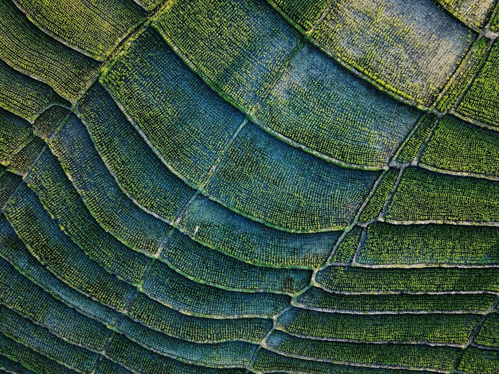 Sustainable‍ Practices ⁤in​ Grain⁣ Processing