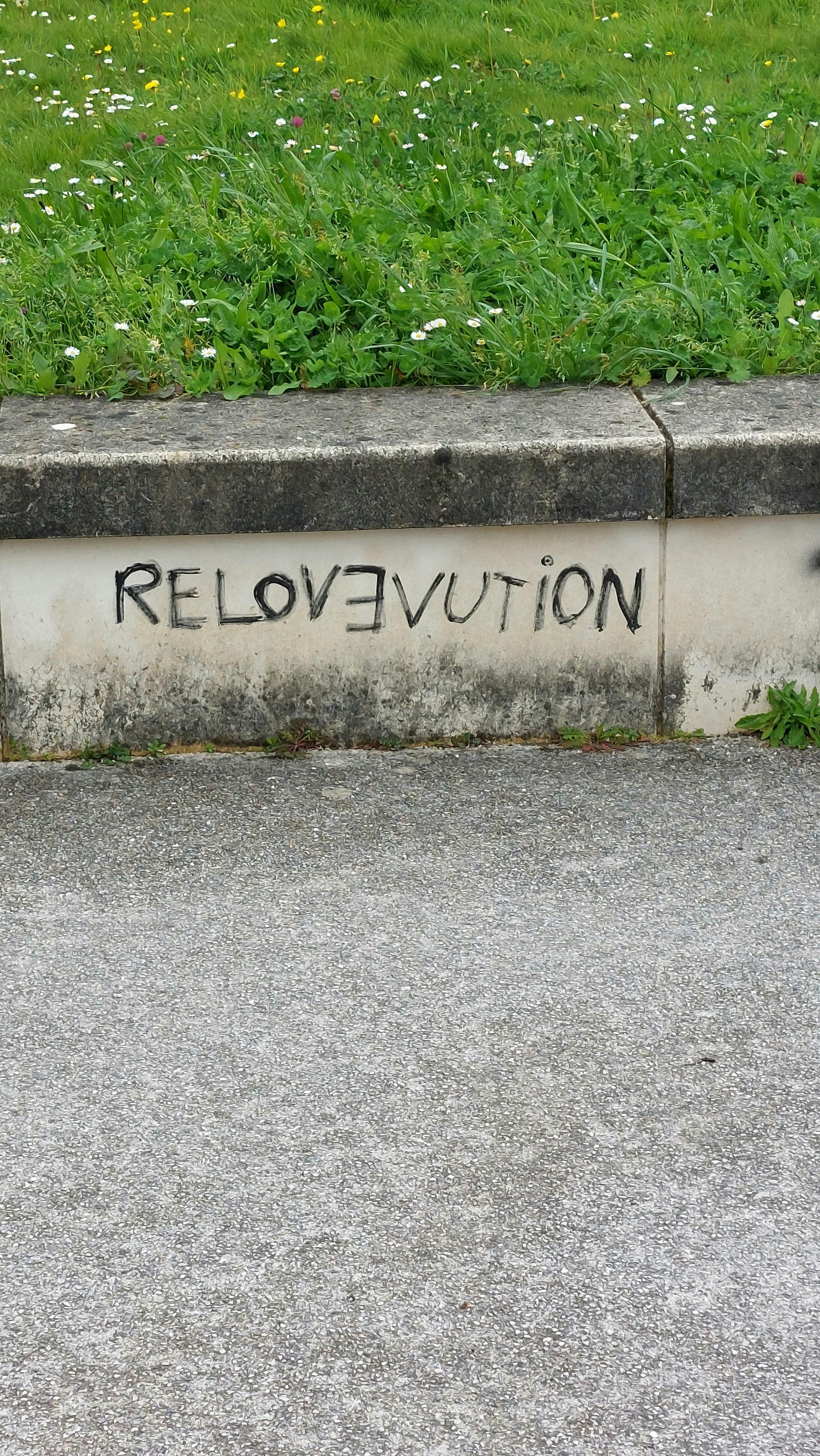 Optimizing Grains: The Role of Rice Milling Units in Agriculture 1 Revolutionizing Harvests Thru Efficient Rice Milling units