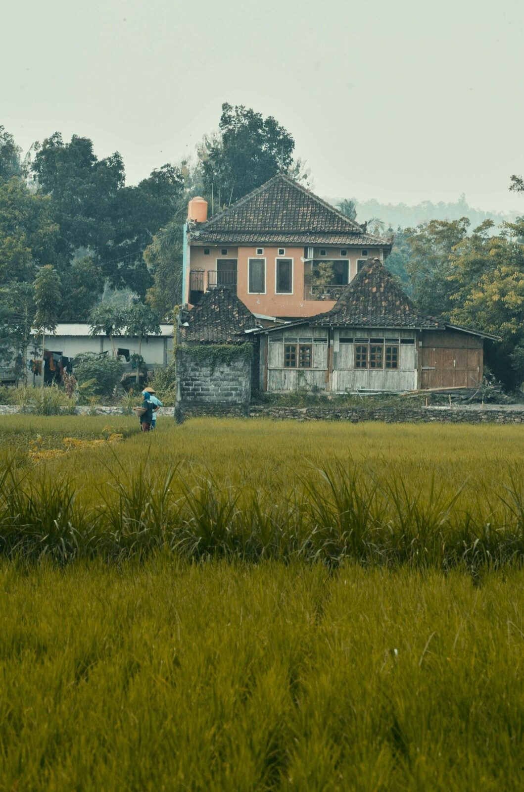 Harvesting Tradition: The Role of Chinese Rice Mills in Agriculture 1 Exploring the Historical Significance of Rice mills in china’s Agricultural Landscape