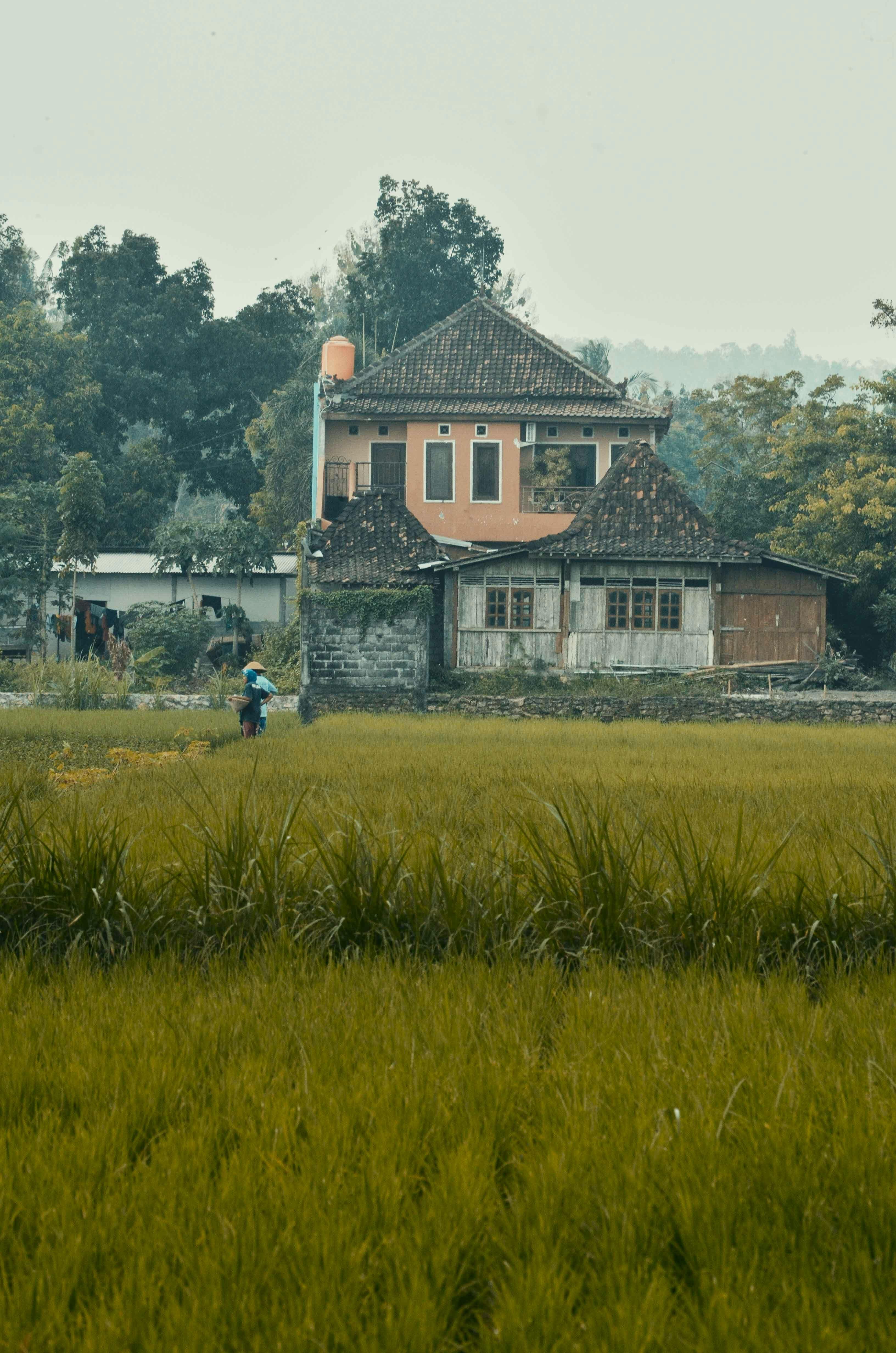 Exploring the Historical Significance ⁤of Rice⁤ mills‍ in⁢ china’s Agricultural Landscape