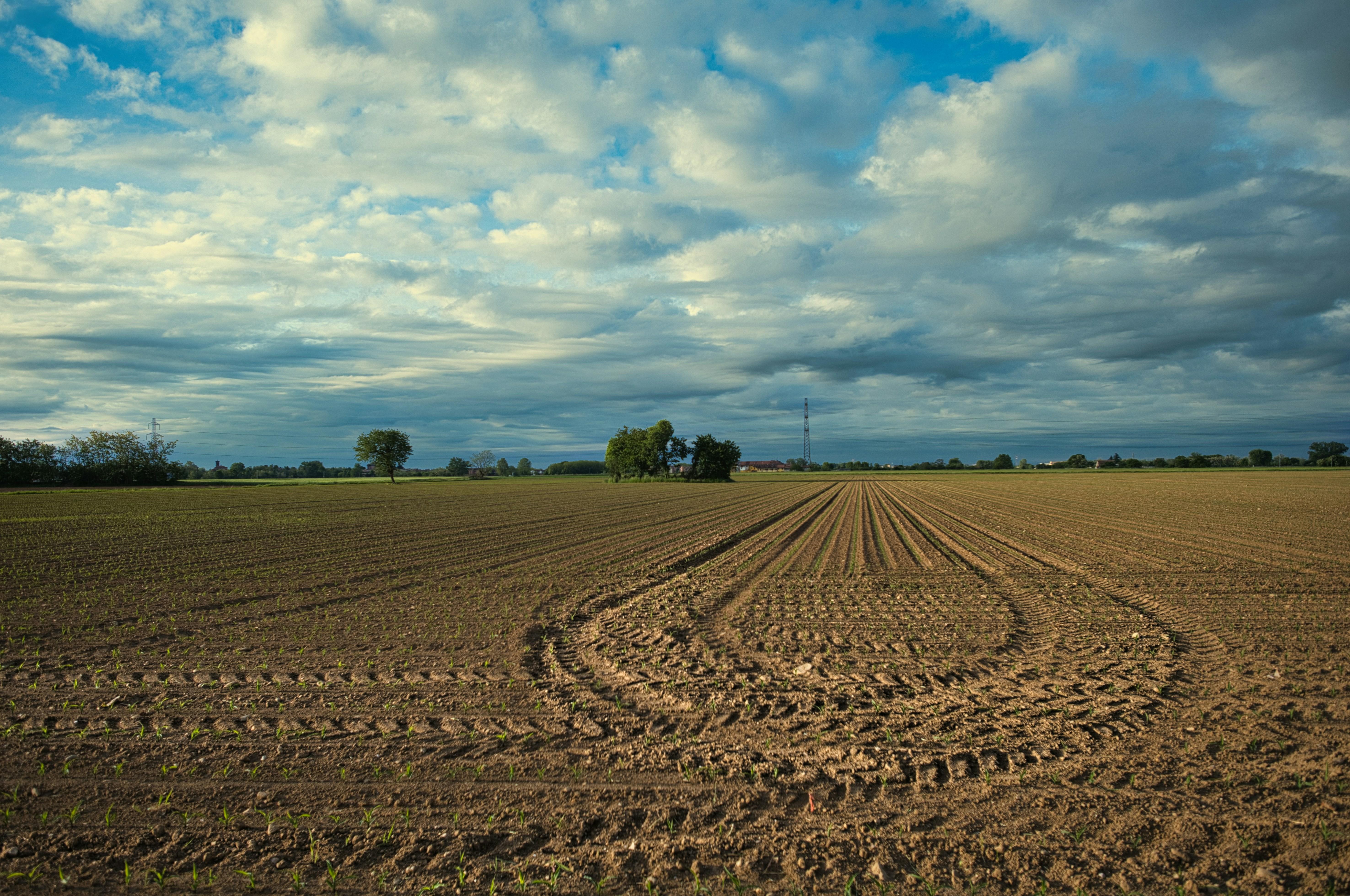 Unveiling the Mini Rice Mill: Small Machine, Big Impact 2 Transforming Agriculture: Economic Benefits and Sustainability