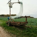 Streamlining Harvest: The Future of Paddy Processing Machines