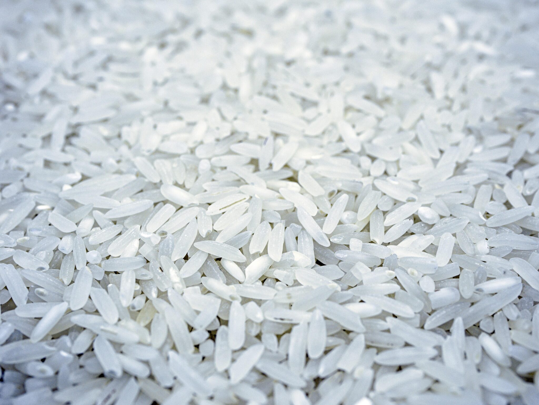 Top Rice Mills: Finding the Best for Your Milling Needs