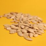 Transforming Grains: The Innovation Behind Rice Mill Plants