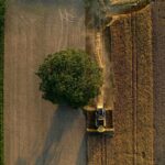 Efficient Harvests: The Rise of Combine Mini Rice Mills