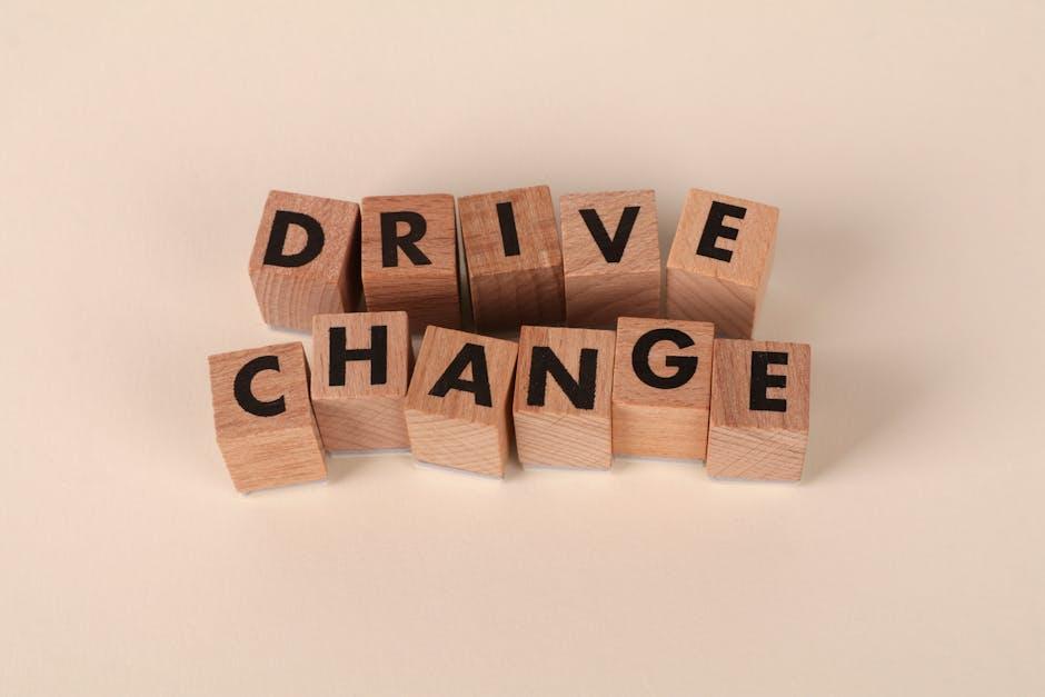 Transforming Grain: The Journey of Paddy in Processing Plants