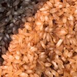 Elevating Grains: The Art and Science of Rice Polishers