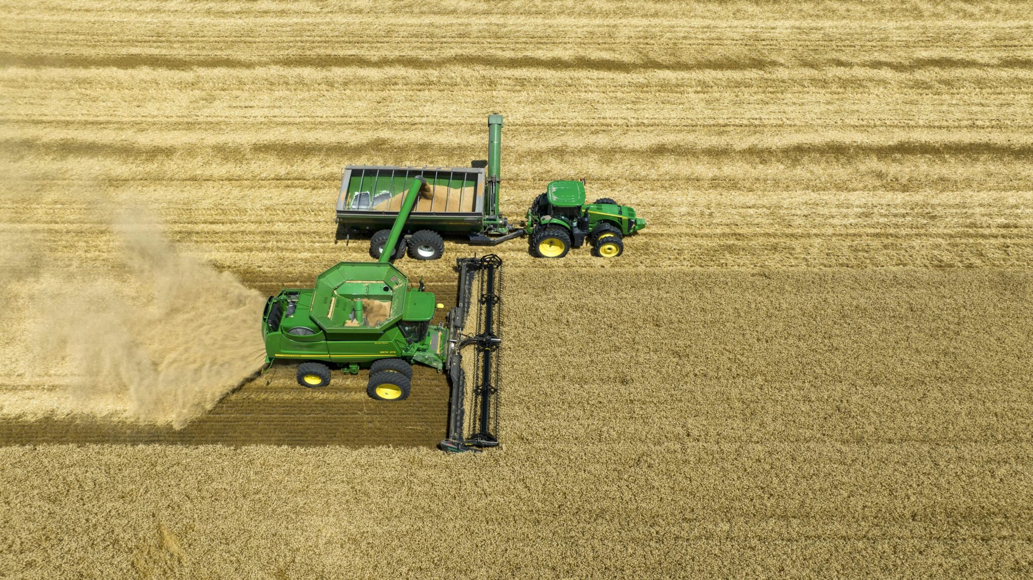 Unveiling the Rice Milling Machine: Precision Meets Tradition