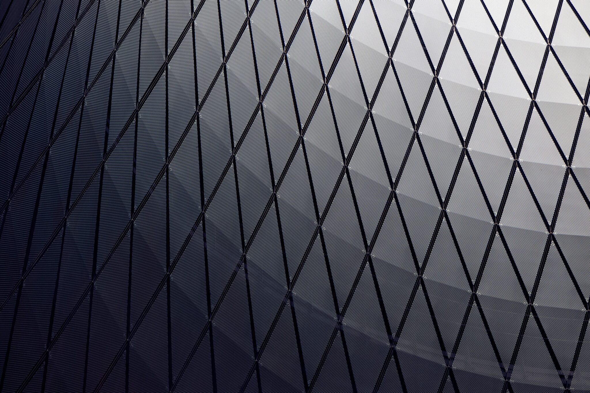 Modern Rice Mill Plants: Transforming Grains into Gold