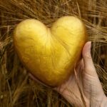 Inside the Heart of Nourishment: Exploring Rice Processing Plants