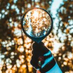 Unlocking Quality: Discovering the Top Rice Mills Today