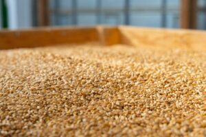 Home 16 Unlocking Grain Potential: The Future of Mini Rice Mills