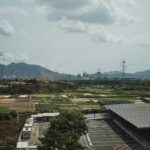 Launching Success: The 2-Ton Rice Mill Plant Initiative