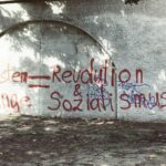 Revolutionizing Grain Processing: The All-in-One Rice Mill