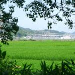 Unlocking Potential: Investing in a 2 Ton Rice Mill Plant