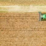 Harvesting Efficiency: The Rise of Auto Rice Mills