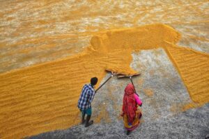 Home 15 Unveiling the 2-Ton Rice Mill Plant: A Vision Realized