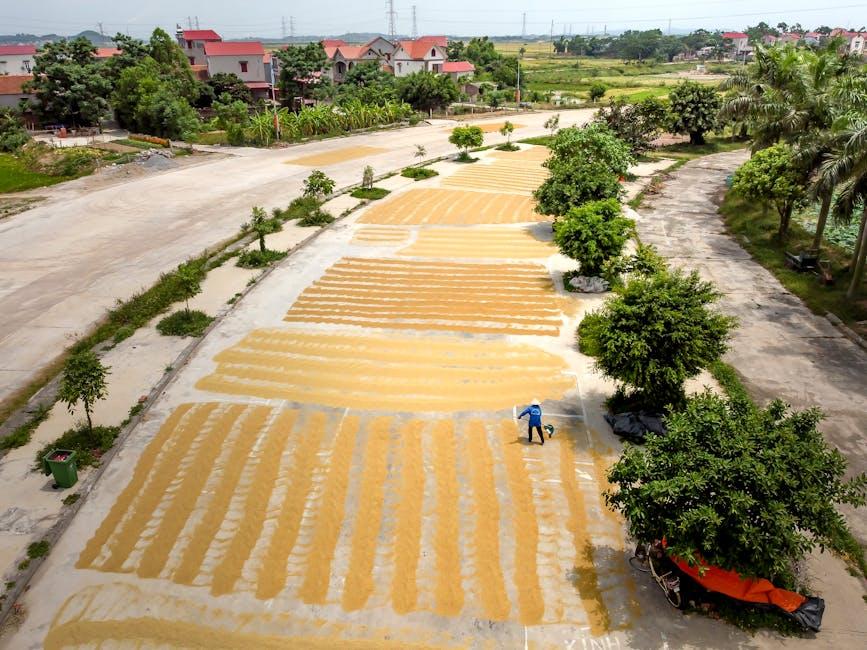 Unlocking Potential: A Deep Dive into Paddy Processing Units 1 Exploring the Fundamentals of Paddy Processing Units
